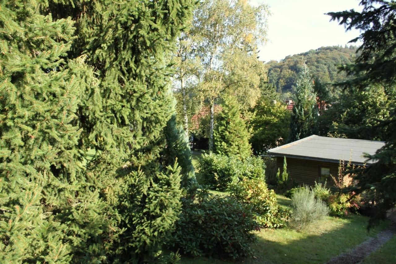 Ferienhaus Harzblick Güntersberge Exterior foto